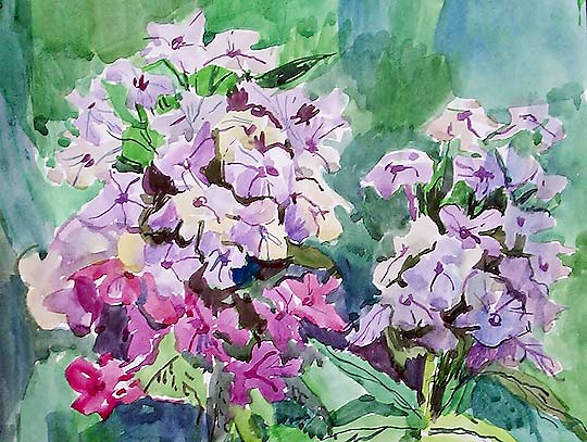  Живопись. Цветы. Акварель 